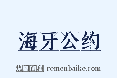 海牙公约是什么意思的图片